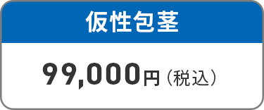 仮性包茎　99,000円（税込）